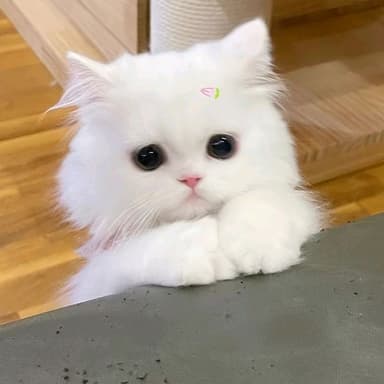 Profile picture of influencer 7y5567iu787 on UGCs.me