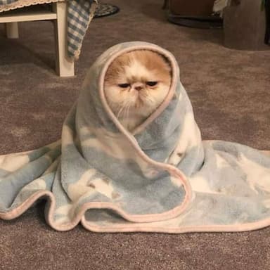 Profile picture of influencer seen.skincare on UGCs.me